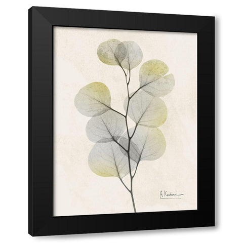 Sunkissed Eucalyptus 4 Black Modern Wood Framed Art Print with Double Matting by Koetsier, Albert