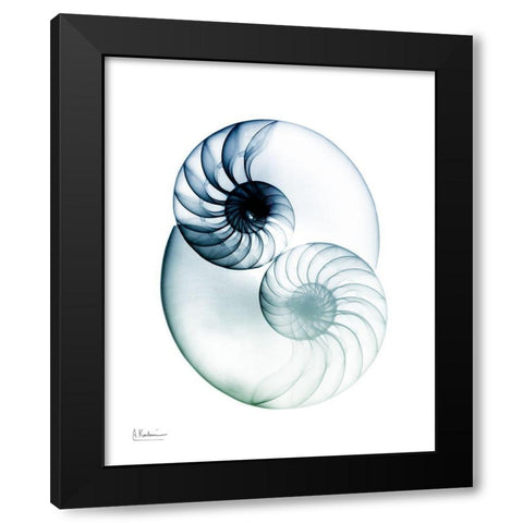 Crystal Breeze 2 Black Modern Wood Framed Art Print with Double Matting by Koetsier, Albert