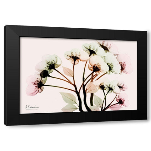 Vibrant Shine Black Modern Wood Framed Art Print by Koetsier, Albert