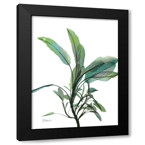 Shimmering Botanical 2 Black Modern Wood Framed Art Print by Koetsier, Albert