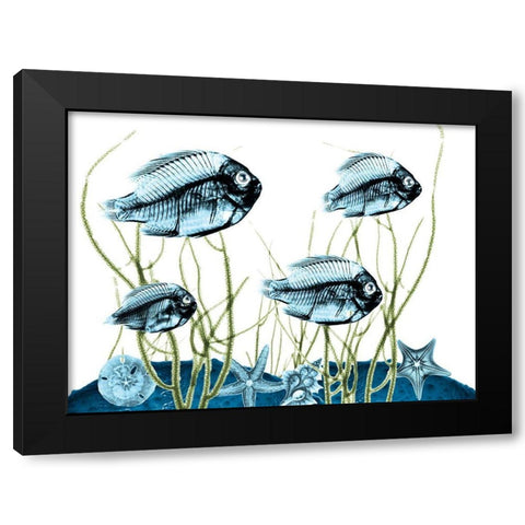 Aquatic Home 1 Black Modern Wood Framed Art Print by Koetsier, Albert