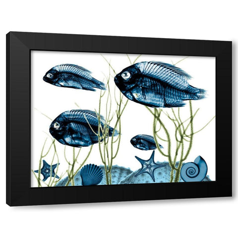 Aquatic Home 2 Black Modern Wood Framed Art Print by Koetsier, Albert