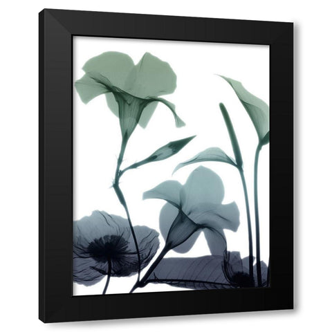 Mystic Bloom 1 Black Modern Wood Framed Art Print with Double Matting by Koetsier, Albert