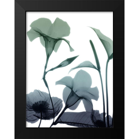 Mystic Bloom 1 Black Modern Wood Framed Art Print by Koetsier, Albert