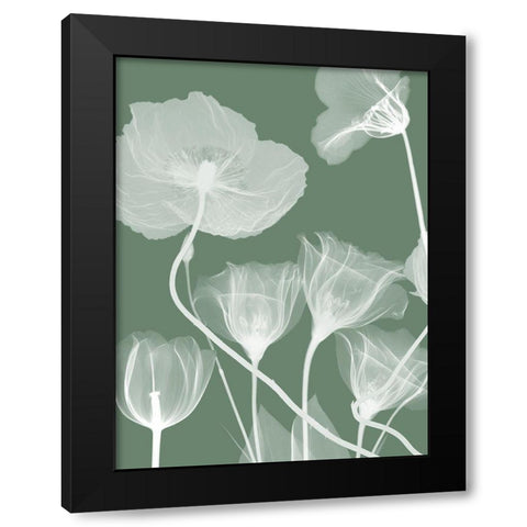 Emerald Flora 1 Black Modern Wood Framed Art Print with Double Matting by Koetsier, Albert