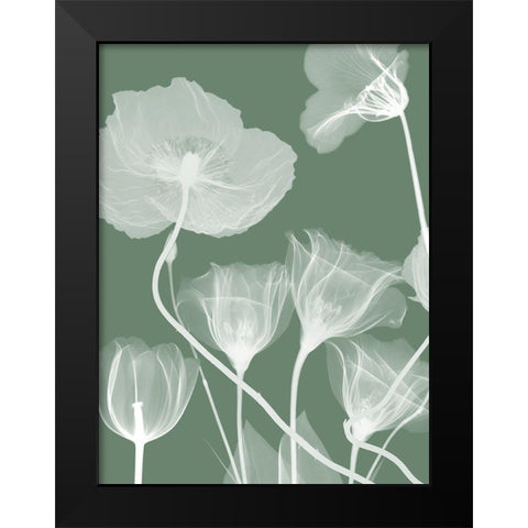 Emerald Flora 1 Black Modern Wood Framed Art Print by Koetsier, Albert