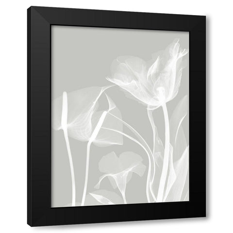 Gray Flora 1 Black Modern Wood Framed Art Print with Double Matting by Koetsier, Albert