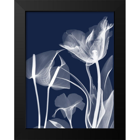 Navy Flora 2 Black Modern Wood Framed Art Print by Koetsier, Albert