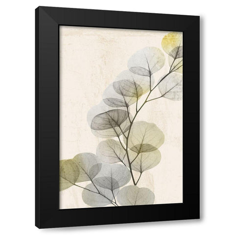 Golden Break 2 Black Modern Wood Framed Art Print with Double Matting by Koetsier, Albert