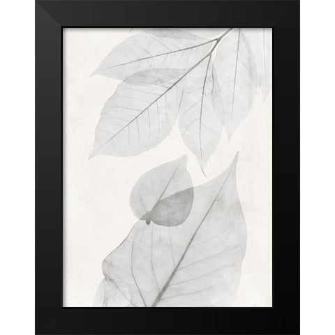 Distilled Botanicals 2 Black Modern Wood Framed Art Print by Koetsier, Albert