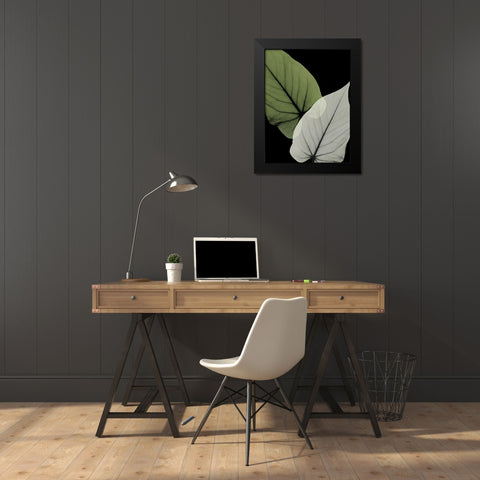 Philodendron Embrace 1 Black Modern Wood Framed Art Print by Koetsier, Albert