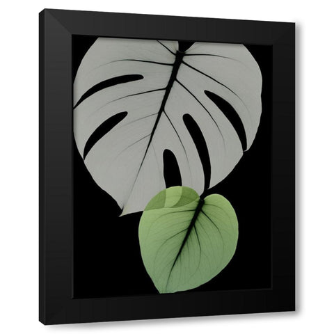 Botanical Embrace 1 Black Modern Wood Framed Art Print by Koetsier, Albert