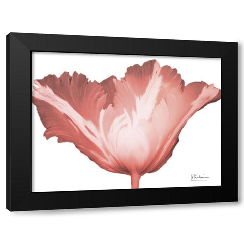 Coral Blossom 1 Black Modern Wood Framed Art Print by Koetsier, Albert