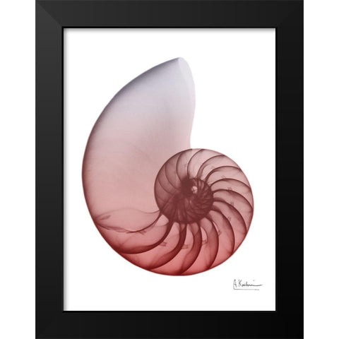 Coral Snail 4 Black Modern Wood Framed Art Print by Koetsier, Albert