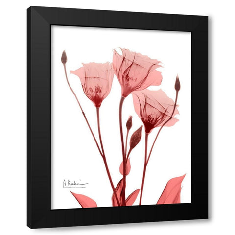 Marvelous Gentian 1 Black Modern Wood Framed Art Print with Double Matting by Koetsier, Albert