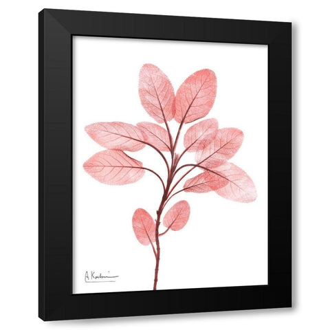 Coral Wonder 3 Black Modern Wood Framed Art Print by Koetsier, Albert