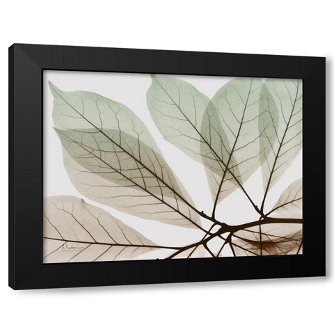 Earthy Magnolia Black Modern Wood Framed Art Print with Double Matting by Koetsier, Albert