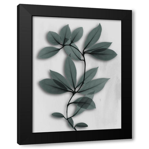 Silver Pine Wonder 1 Black Modern Wood Framed Art Print with Double Matting by Koetsier, Albert