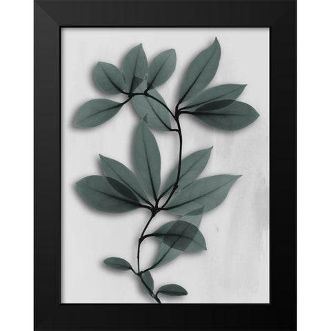 Silver Pine Wonder 1 Black Modern Wood Framed Art Print by Koetsier, Albert