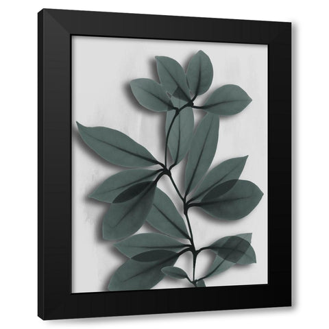 Silver Pine Wonder 2 Black Modern Wood Framed Art Print by Koetsier, Albert