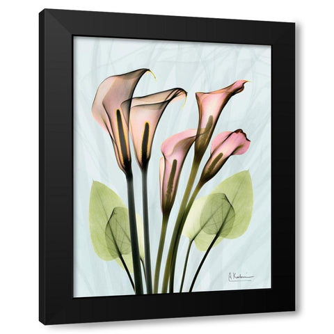 Calla Lily Crystalis 1 Black Modern Wood Framed Art Print by Koetsier, Albert