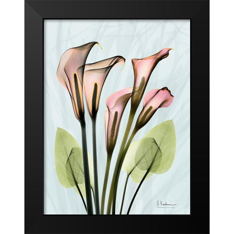 Calla Lily Crystalis 1 Black Modern Wood Framed Art Print by Koetsier, Albert