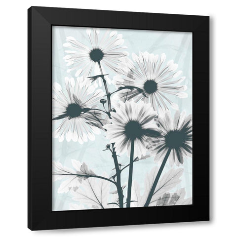 Gerbera Crystalis 1 Black Modern Wood Framed Art Print with Double Matting by Koetsier, Albert