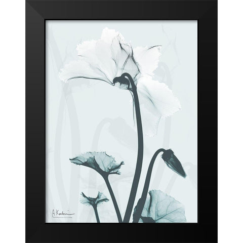 Desired Cyclamen 2 Black Modern Wood Framed Art Print by Koetsier, Albert