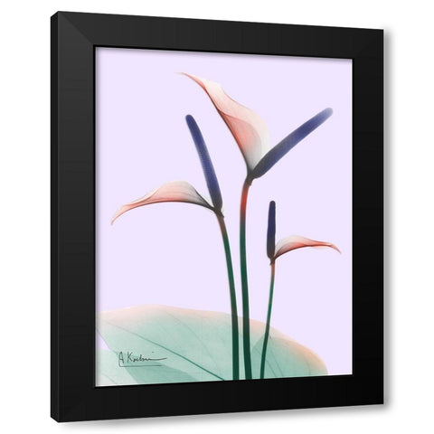 Flamingo Delight 1 Black Modern Wood Framed Art Print with Double Matting by Koetsier, Albert
