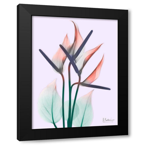 Flamingo Delight 2 Black Modern Wood Framed Art Print by Koetsier, Albert