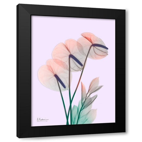 Flamingo Delight 3 Black Modern Wood Framed Art Print with Double Matting by Koetsier, Albert