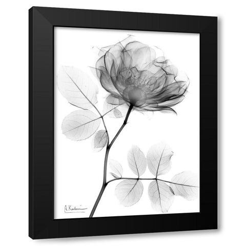 Rose Dynasty 1 Black Modern Wood Framed Art Print with Double Matting by Koetsier, Albert