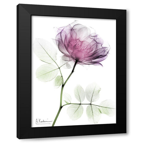 Rose Dynasty 1 Black Modern Wood Framed Art Print by Koetsier, Albert