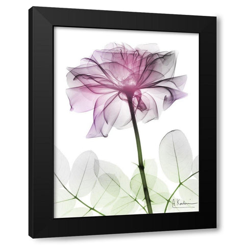 Rose Dynasty 2 Black Modern Wood Framed Art Print with Double Matting by Koetsier, Albert