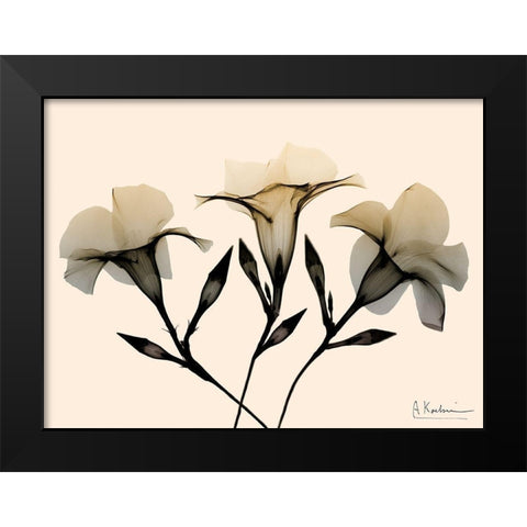 Mandelilla Dawn Black Modern Wood Framed Art Print by Koetsier, Albert