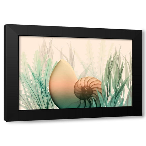 Underwater Dawn 1 Black Modern Wood Framed Art Print with Double Matting by Koetsier, Albert