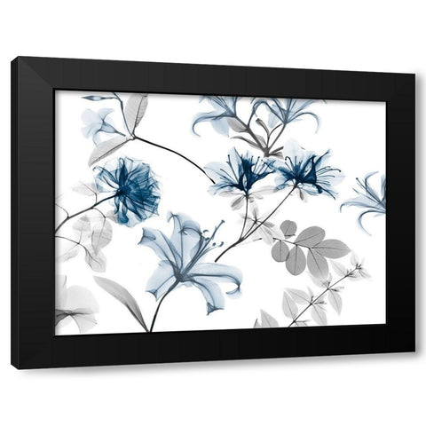 Sweet Bouquet 2 Black Modern Wood Framed Art Print with Double Matting by Koetsier, Albert