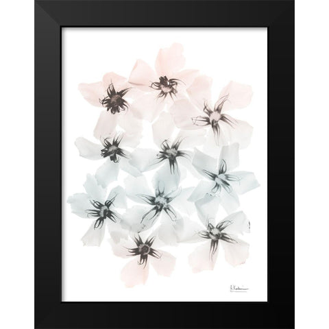 Oleander Blush Fantasy 1 Black Modern Wood Framed Art Print by Koetsier, Albert