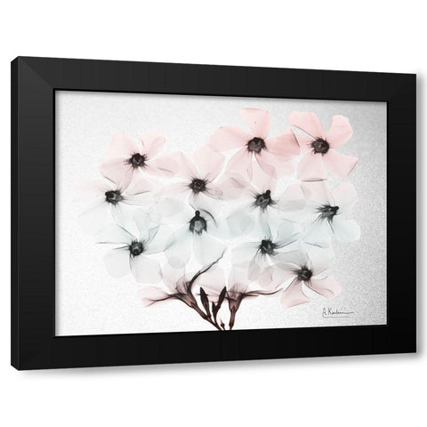 Oleander Fantasy 2 Black Modern Wood Framed Art Print with Double Matting by Koetsier, Albert