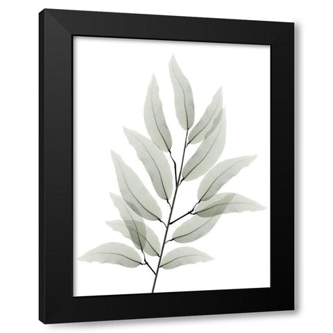 Franken Tree 1 Black Modern Wood Framed Art Print with Double Matting by Koetsier, Albert