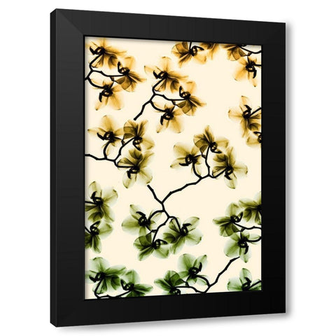 Peeking Foliage 3 Black Modern Wood Framed Art Print by Koetsier, Albert