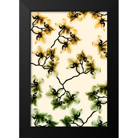 Peeking Foliage 3 Black Modern Wood Framed Art Print by Koetsier, Albert