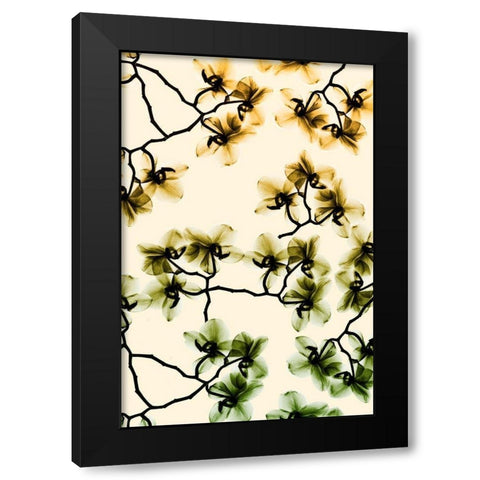 Peeking Foliage 4 Black Modern Wood Framed Art Print with Double Matting by Koetsier, Albert