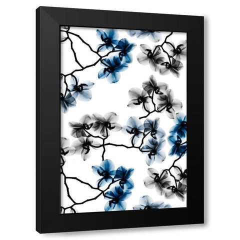 Peeking Foliage 6 Black Modern Wood Framed Art Print with Double Matting by Koetsier, Albert