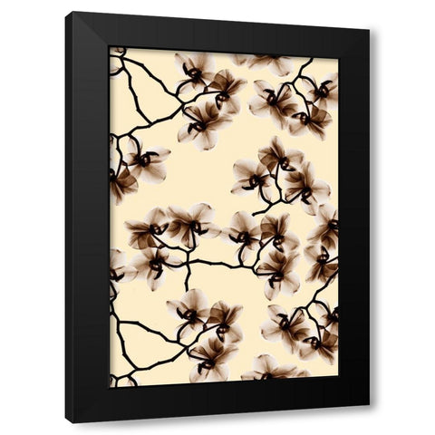 Peeking Foliage 2 Black Modern Wood Framed Art Print by Koetsier, Albert