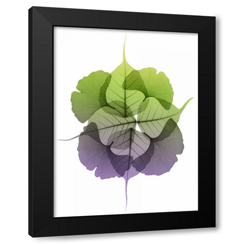 Kaleidoscope Sinko 2 Black Modern Wood Framed Art Print with Double Matting by Koetsier, Albert