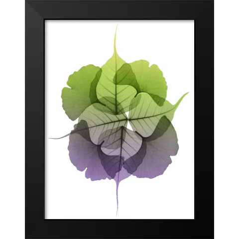 Kaleidoscope Sinko 2 Black Modern Wood Framed Art Print by Koetsier, Albert