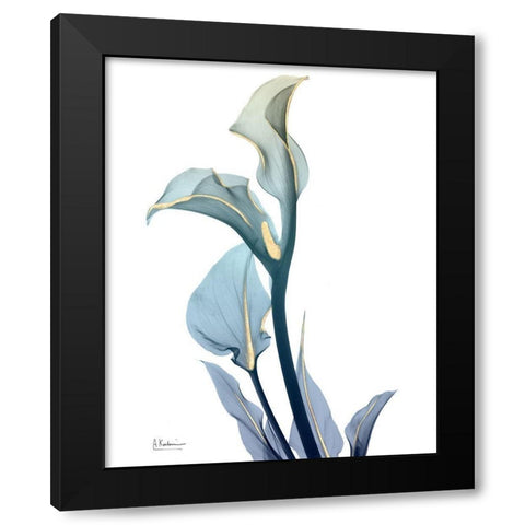 Gold Sprinkled Calla Lily Black Modern Wood Framed Art Print with Double Matting by Koetsier, Albert