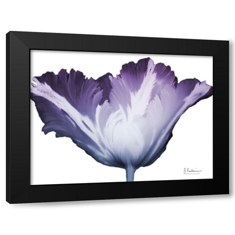 Radiant Blossom 1 Black Modern Wood Framed Art Print with Double Matting by Koetsier, Albert