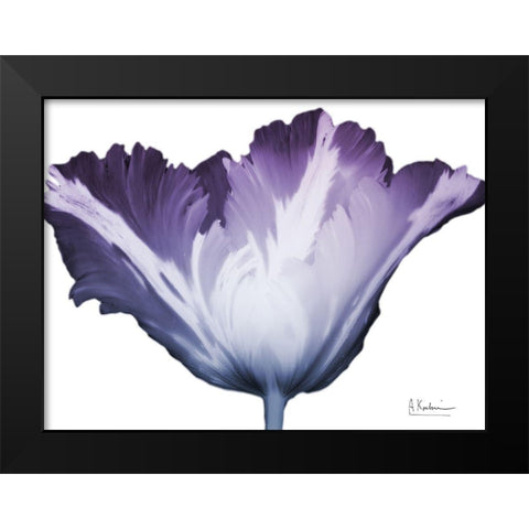 Radiant Blossom 1 Black Modern Wood Framed Art Print by Koetsier, Albert